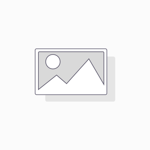 AIR BAG 750 X 550