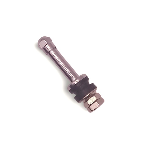 [3213] CLAMP-IN VALVE - CAR & LIGHT TRUCK TR53E RH11.3